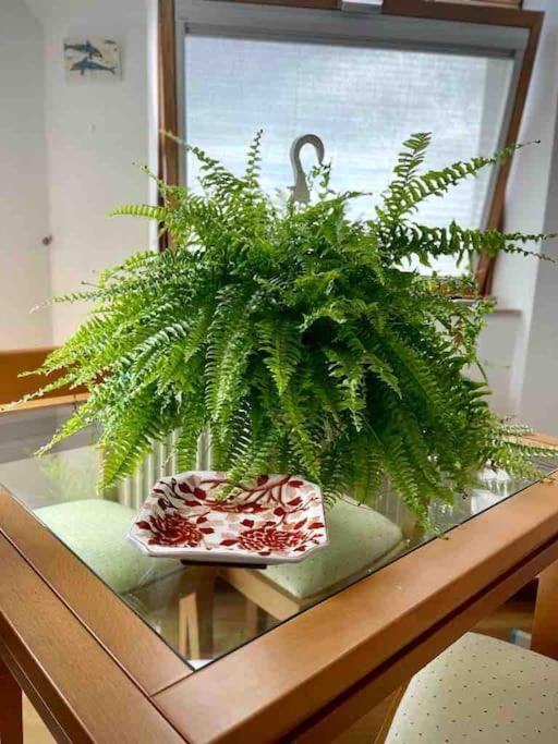 Apartamento Con Vistas Sadaアパートメント エクステリア 写真